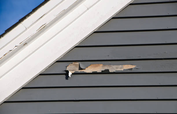 Best Demolition Debris Removal  in Trinity, FL